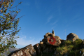 Auf dem Røyfjellet