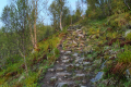 Stokmarknes