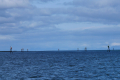 Risøyrenna