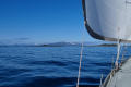 Risøyrenna