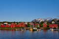 Bjarkøya