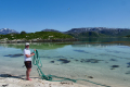 Sommarøy