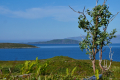 Vannøya
