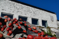 Vannøya