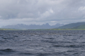 Fjordsegeln