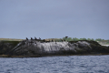 Fjordsegeln