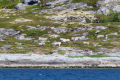 Fjordsegeln