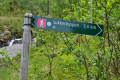 Sukkertoppen