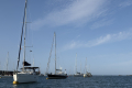 Alderney Bojenfeld