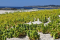 Île de Groix