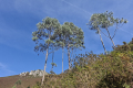 Wanderung Mirador del Fitu