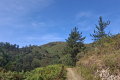 Wanderung Mirador del Fitu