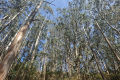 Wanderung Mirador del Fitu