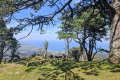 Wanderung Mirador del Fitu
