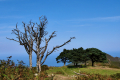 Wanderung Mirador del Fitu
