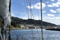 Viveiro