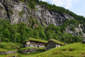 Skageflå