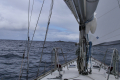 Anfahrt auf Håholmen
