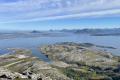 Rødøyløva