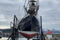 Nesna