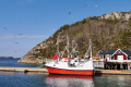 Kjølsøya