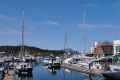 Bodø