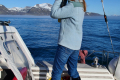 Isfjorden