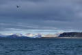 Fjortende Julibukta