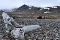 Ebeltoftbukta