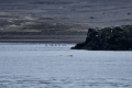 Ebeltoftbukta