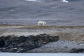 Ebeltoftbukta