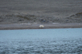 Ebeltoftbukta