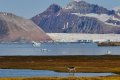 Ny-Ålesund