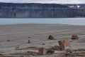 Tempelfjord
