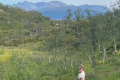 Skjervøy