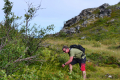 Skjervøy
