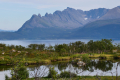 Skjervøy