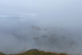 Stamsund