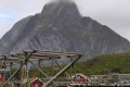 Reine