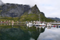 Reine