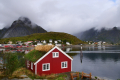 Reine