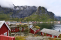 Reine