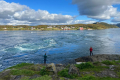 Saltstraumen