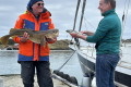 Vokkøy
