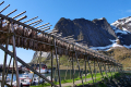 Reine