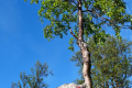 Wanderung Verdens Ende