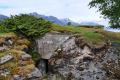 Årøya
