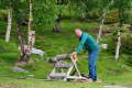 Årøya
