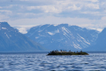 Meltefjord
