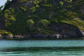 Brunvær